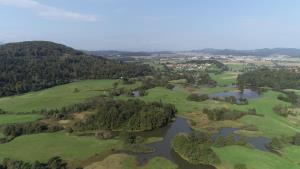 Brane Petrovič Srednice